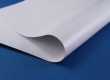 BIOTARP22431-NISHIO