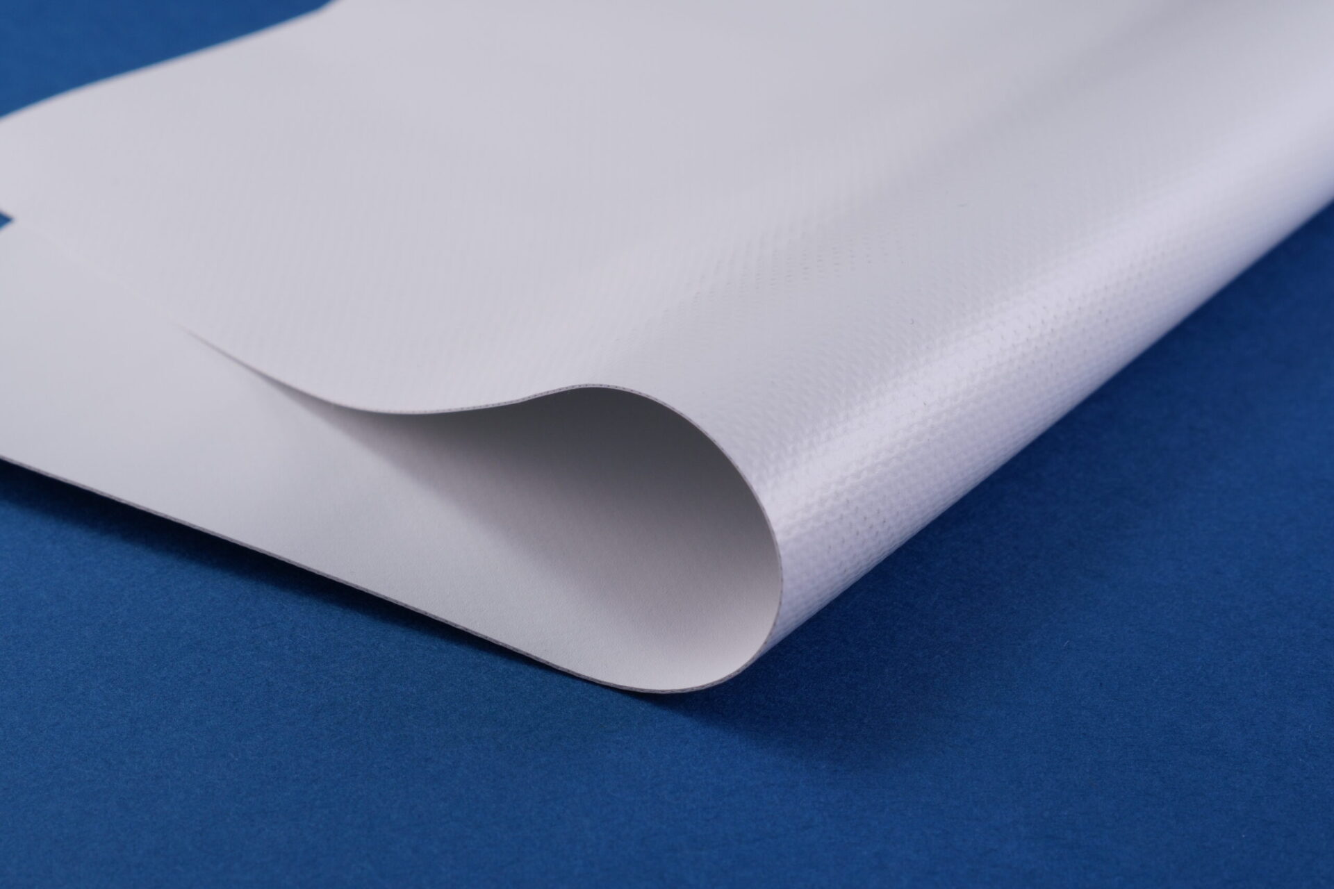 BIOTARP22431-NISHIO
